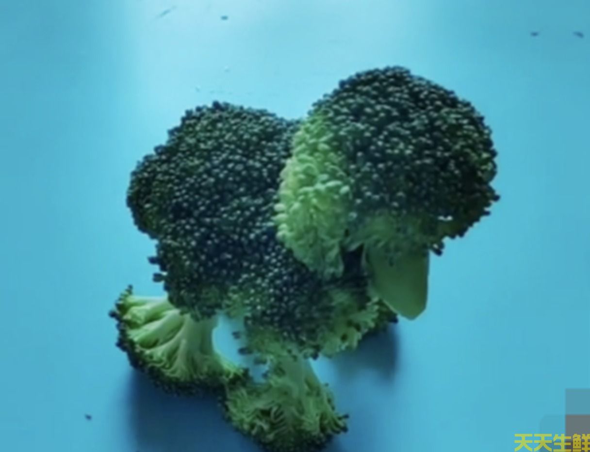 幼儿园蔬菜手工作业(图2) 幼儿园蔬菜手工作业(图2)