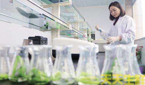 牛肉羊肉检测标准(图1) 牛肉羊肉检测标准(图1)