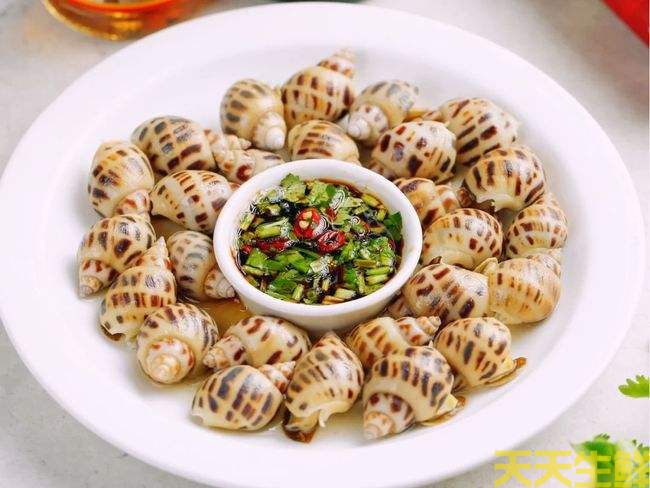 广州送菜公司分享:常见的海鲜贝类有哪些?(图11) 广州送菜公司分享:常见的海鲜贝类有哪些?(图11)