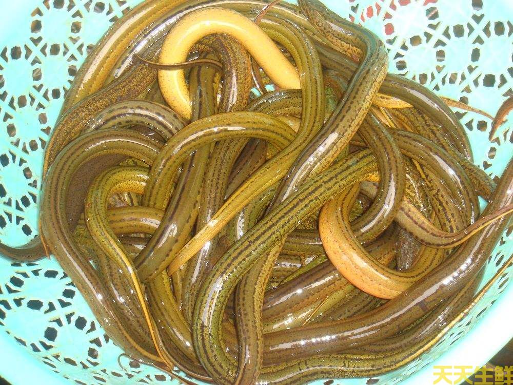 ȳʲôã߲͹˾Ƽ8ʳ(ͼ8)