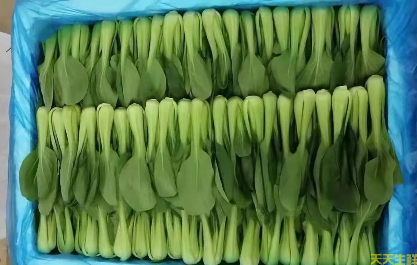 2024年7.8月份蔬菜价格为什么连续上涨(图2) 2024年7.8月份蔬菜价格为什么连续上涨(图2)